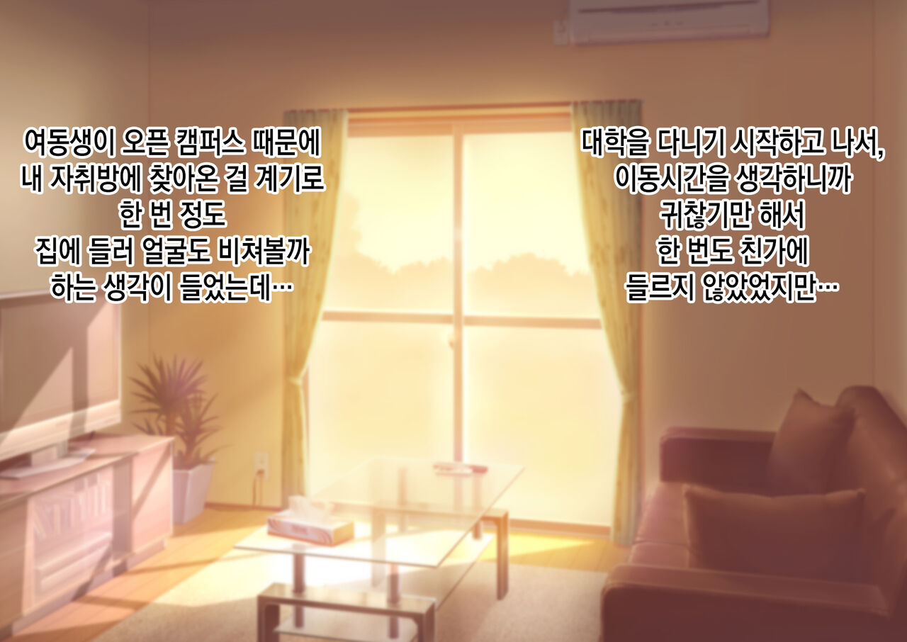 JK Imouto to Jikka de Ecchi na 1shuukan! ~Imouto to Icha Love Namahame Seikatsu~  |  JK여동생과 친가에서 음란한 1주일 ~ 여동생과 꽁냥러브 노콘섹스 생활 ~ page 2 full