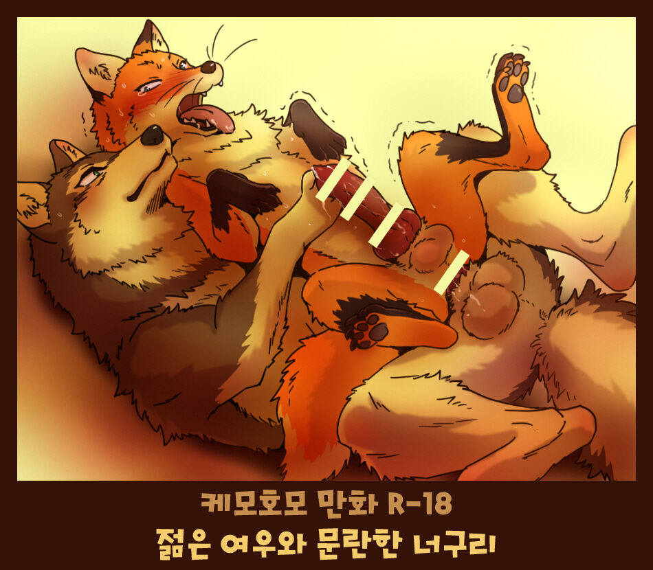 Tanuki x Kitsune | 젊은 여우와 문란한 너구리 page 1 full