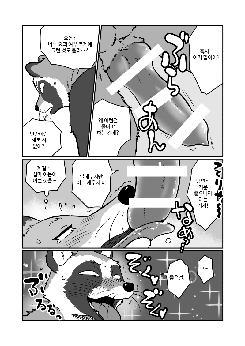 Tanuki x Kitsune | 젊은 여우와 문란한 너구리 page 5 full