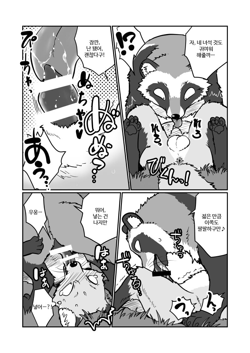 Tanuki x Kitsune | 젊은 여우와 문란한 너구리 page 6 full