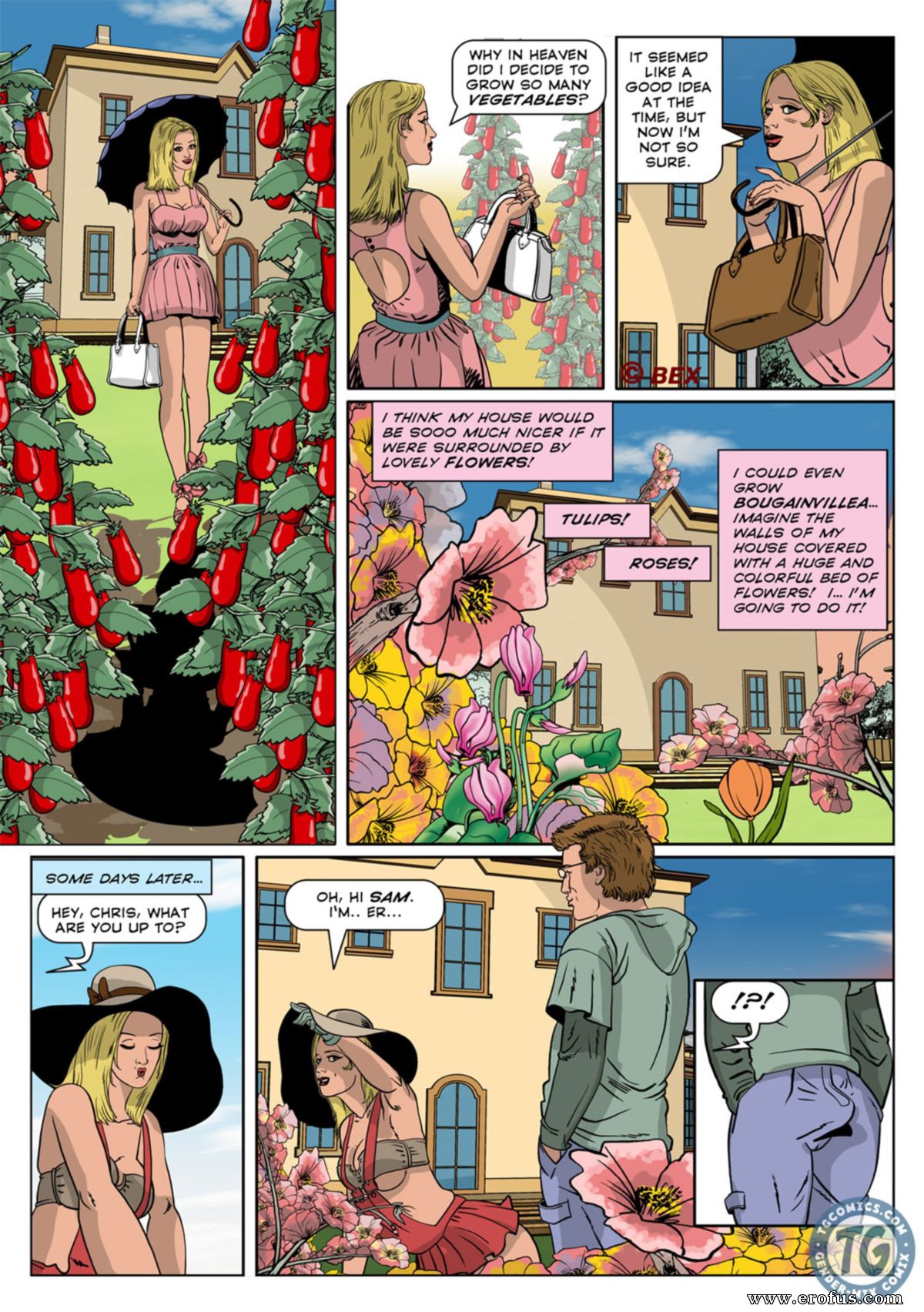 Bex. The Alchemist vol.2 page 4 full