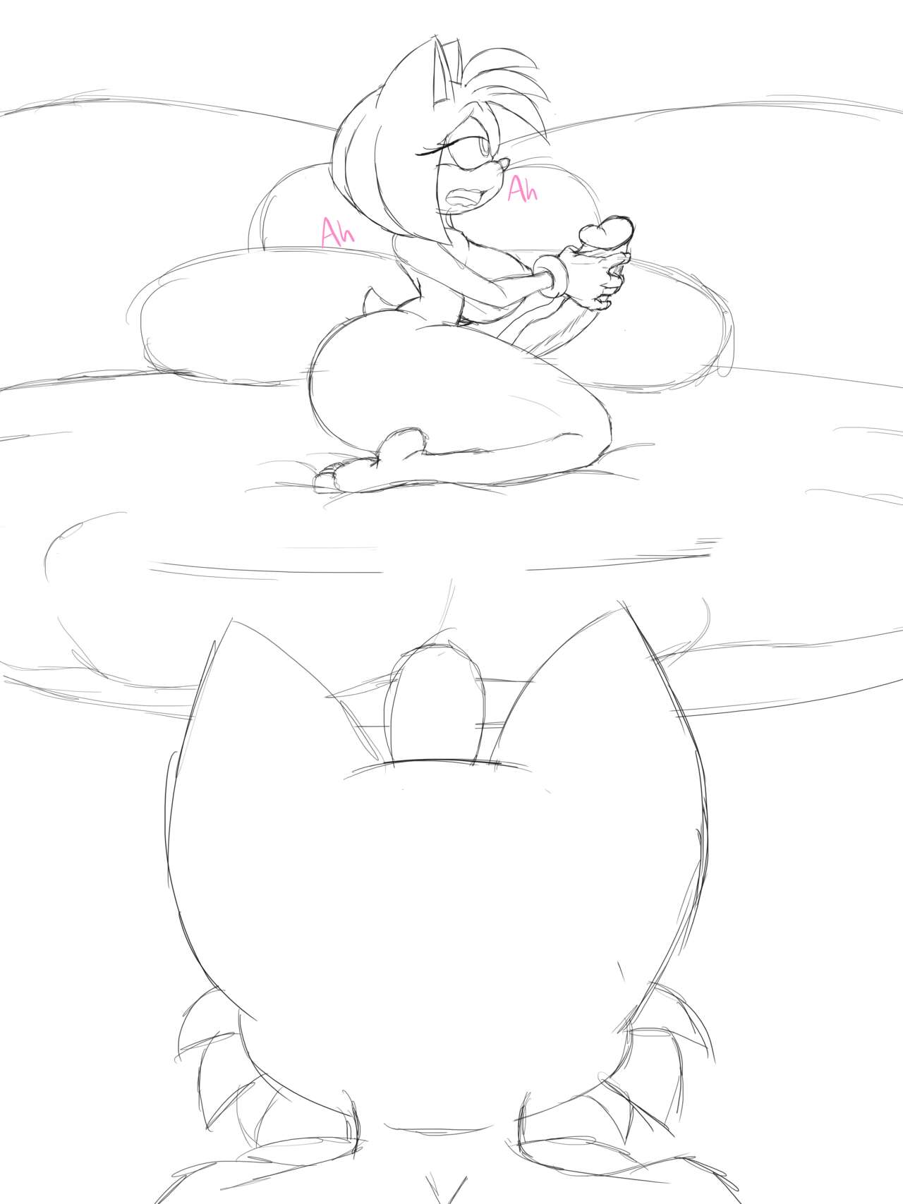 Amy  x Tails page 2 full