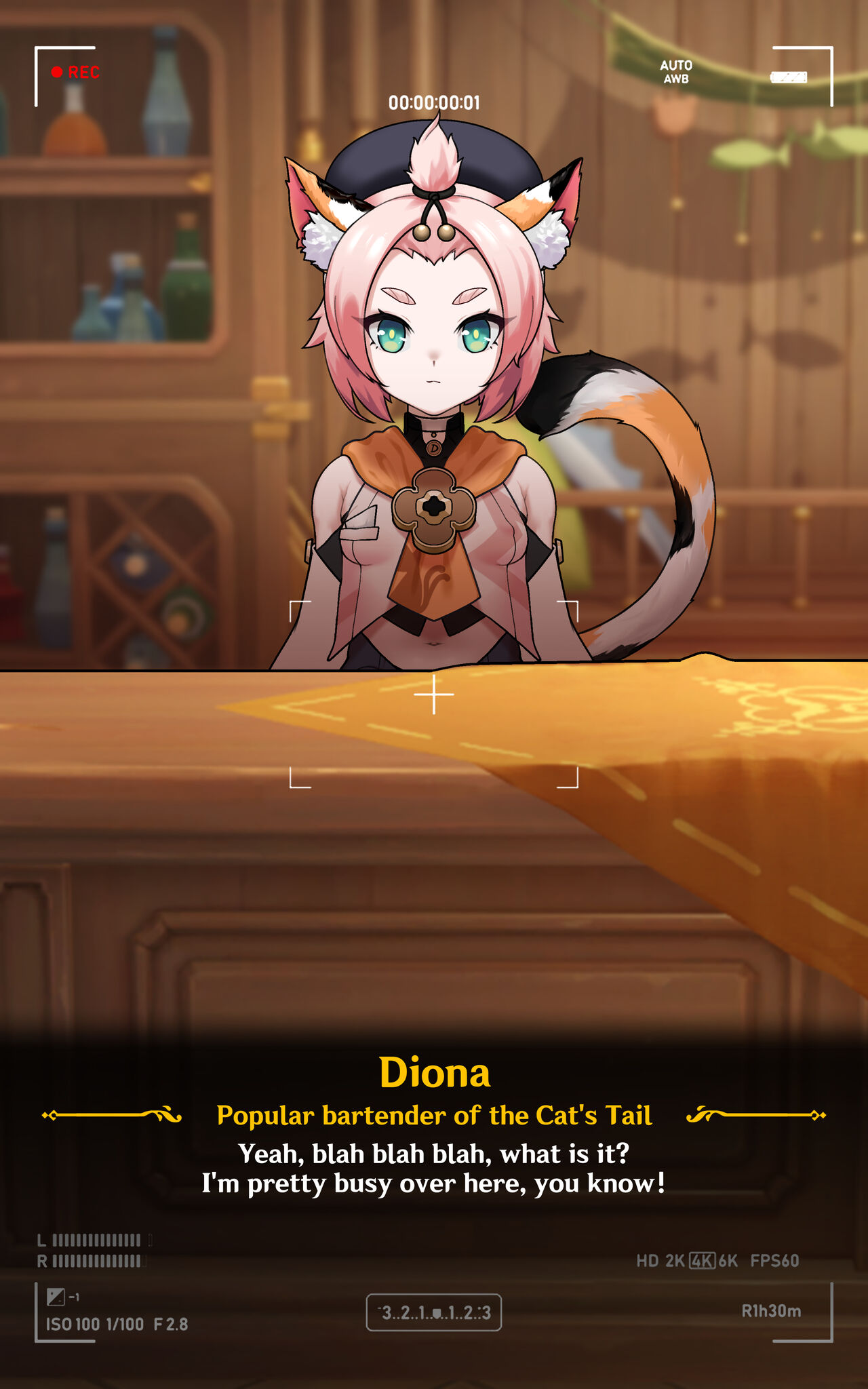 Diona TCG Player's Manual Part1 page 3 full