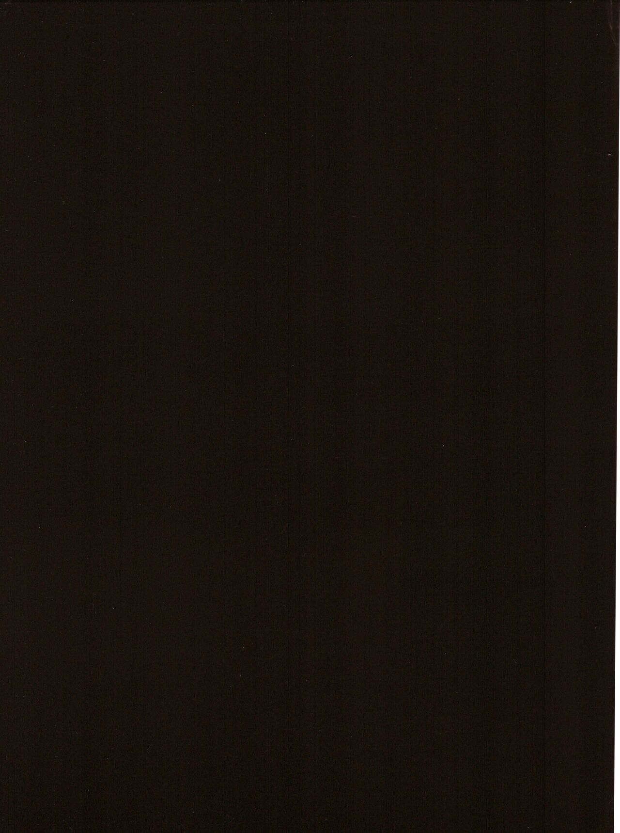 American Geisha - The Art of Olivia page 5 full