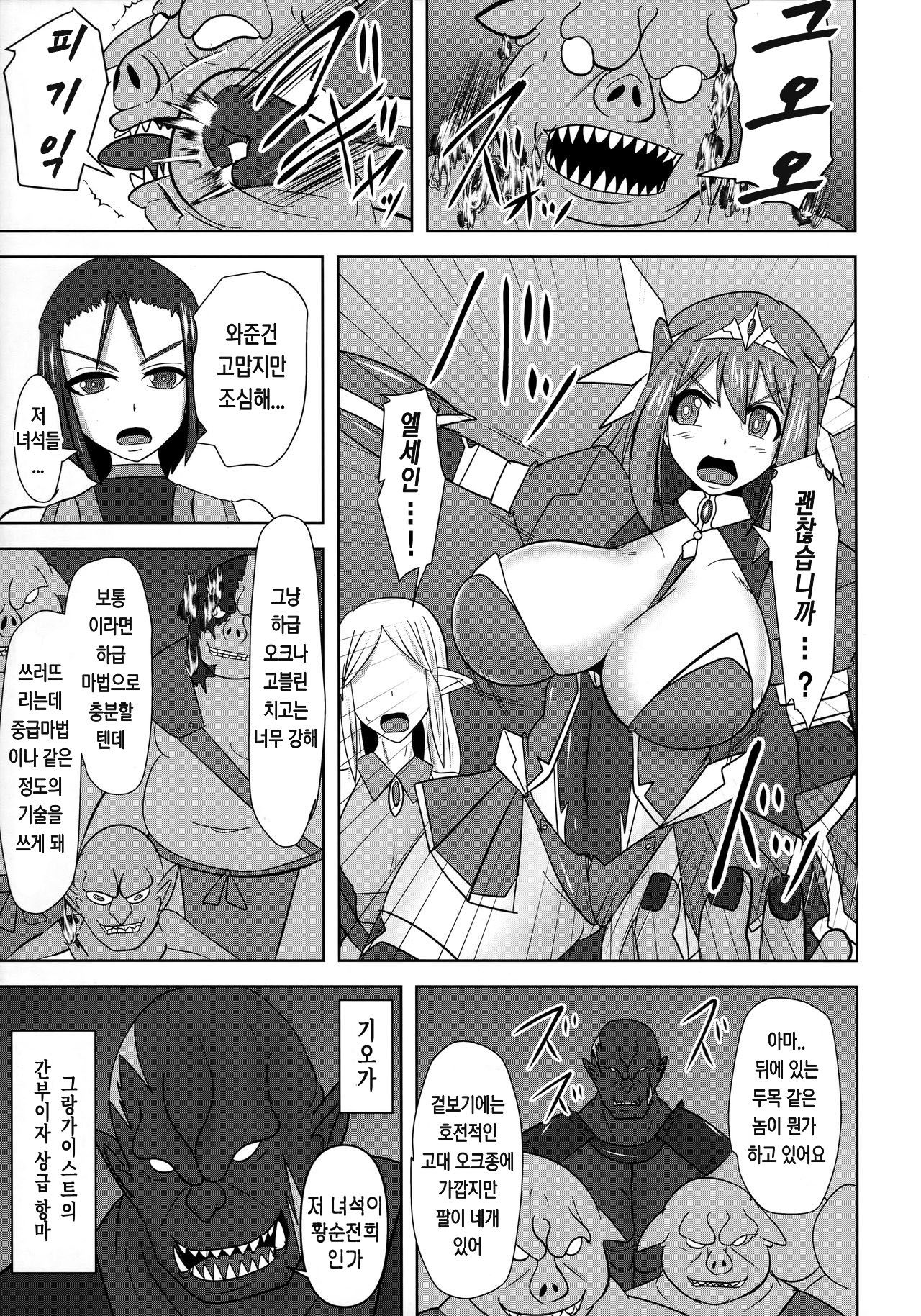 Raygis Valicess Elsain "VANQUISHED SHIELD" | 황순전희 엘세인 "부서져버린 사람들의 방패" page 4 full