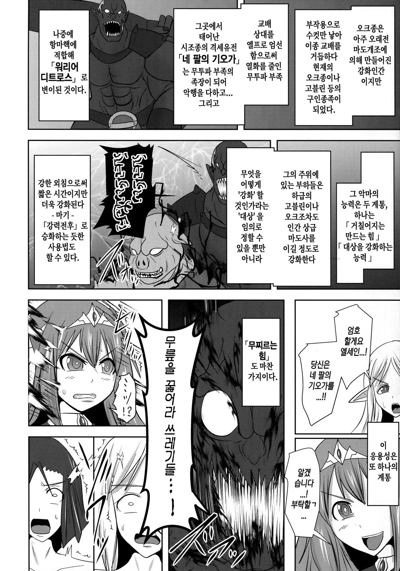 Raygis Valicess Elsain "VANQUISHED SHIELD" | 황순전희 엘세인 "부서져버린 사람들의 방패" page 5 full