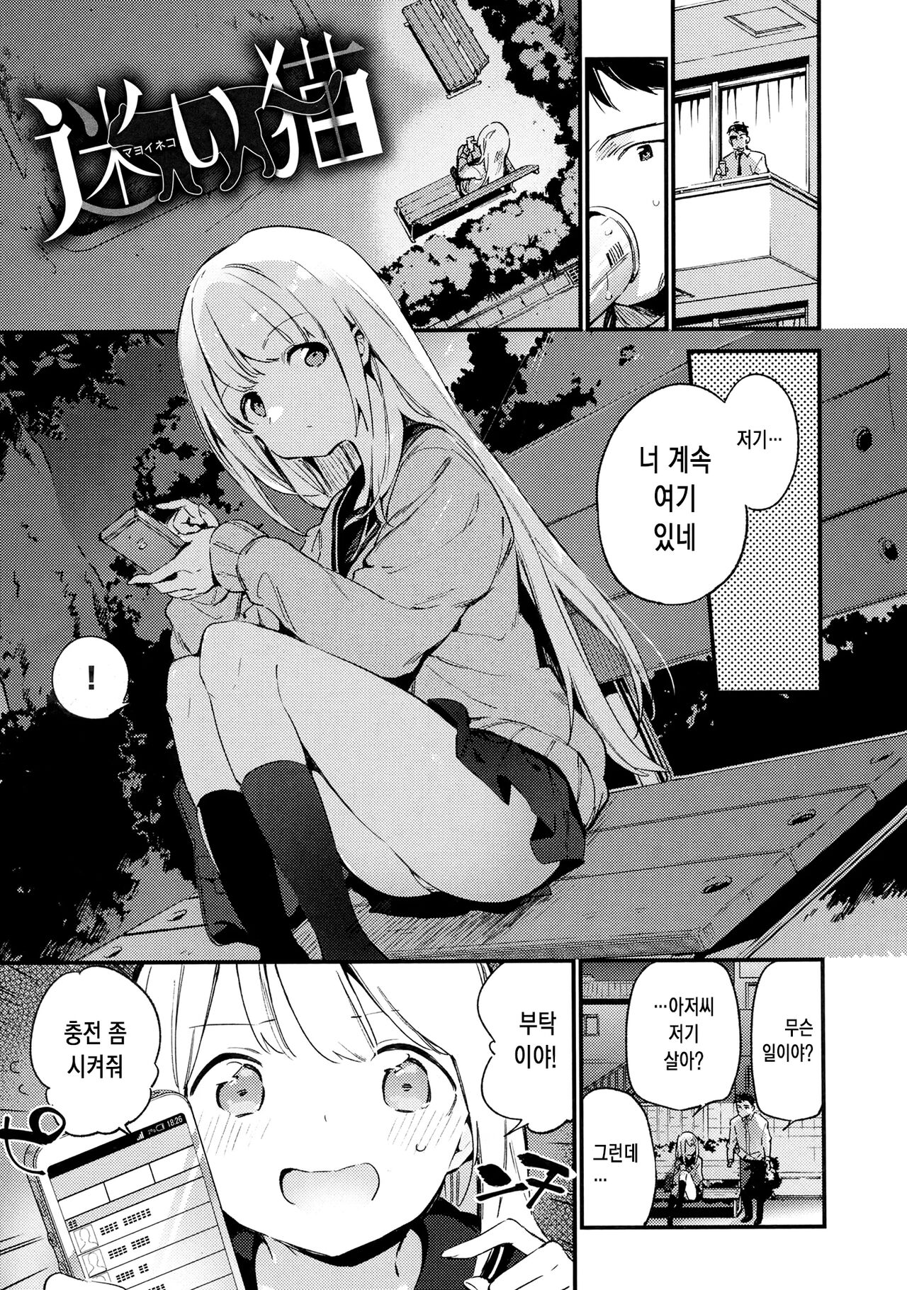 비밀 + 토라노아나 한정 리플릿 ② page 2 full