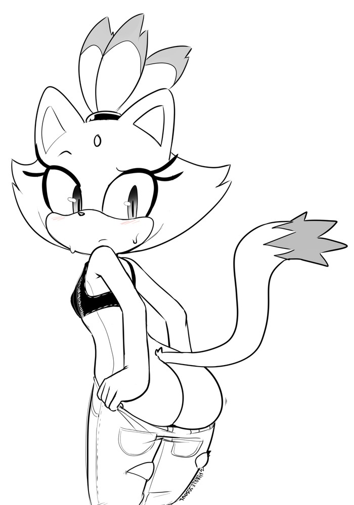 Blaze the Cat Collection page 3 full