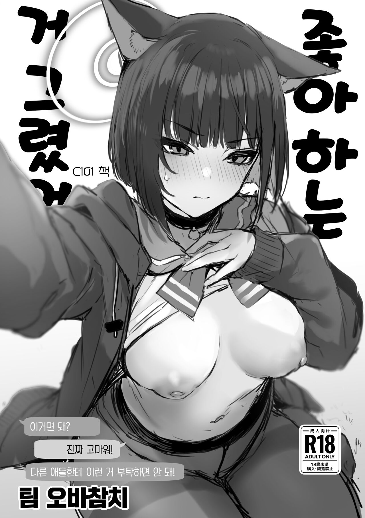 Suki nano Kaita C101 Omake-bon | 좋아하는 거 그렸어 C101 보너스 책 page 1 full