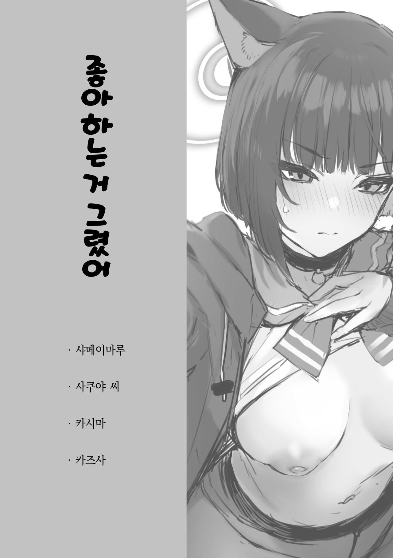 Suki nano Kaita C101 Omake-bon | 좋아하는 거 그렸어 C101 보너스 책 page 2 full