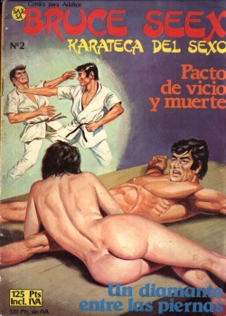 Bruce Seex karateca del sexo n°2