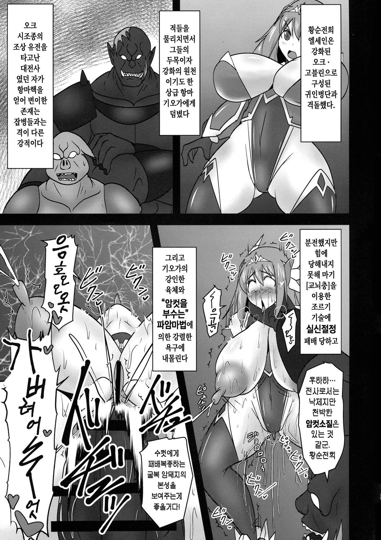 Koujun Senhime Elsain VANQUISHED SHIELD 3 | 황순전희 엘세인 "부서져버린 사람들의 방패 3" page 5 full