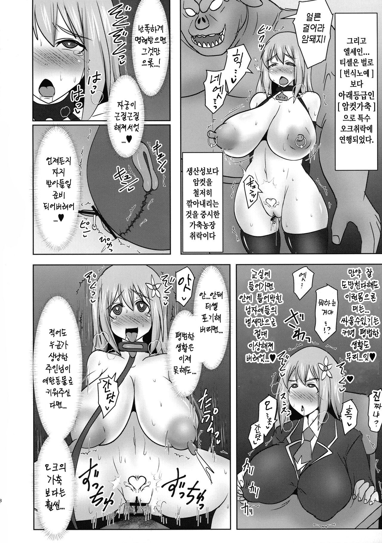Koujun Senhime Elsain VANQUISHED SHIELD 3 | 황순전희 엘세인 "부서져버린 사람들의 방패 3" page 8 full