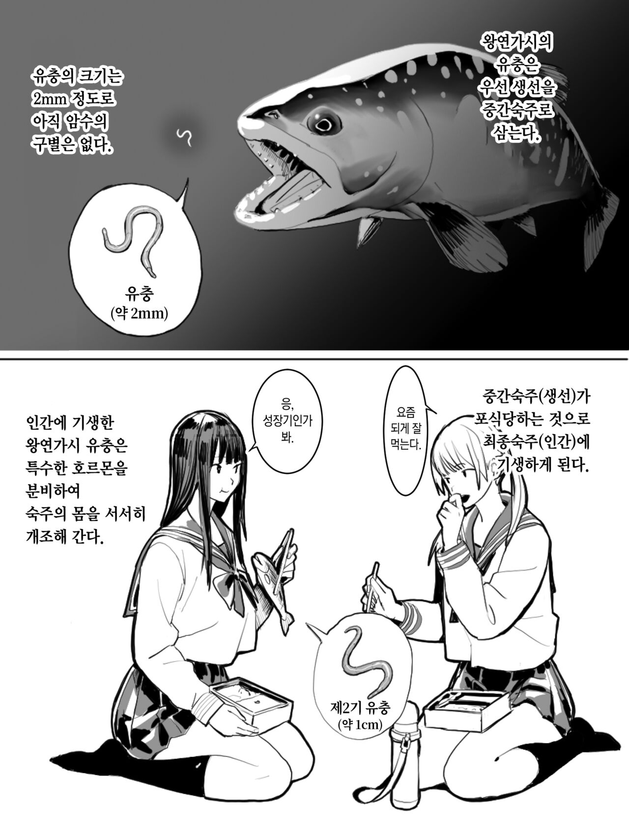Oohariganemushi no Seitai | 왕연가시의 생태 page 3 full