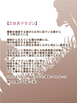 Mamono Musume Series "Mikazuki Dragon"
