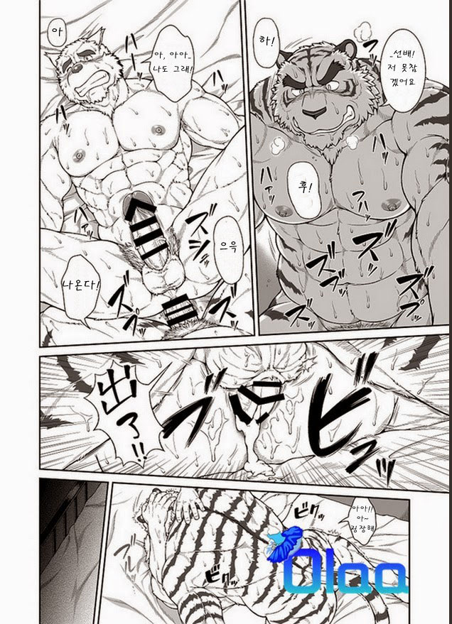 in J 3.5 page 5 full
