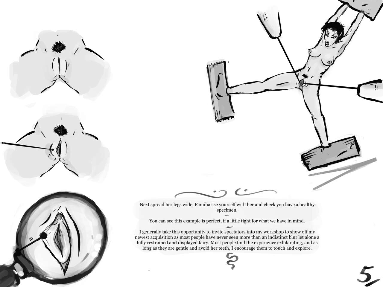 The complete field guide to subduing magical creatures, chapter 1 fairies. page 6 full