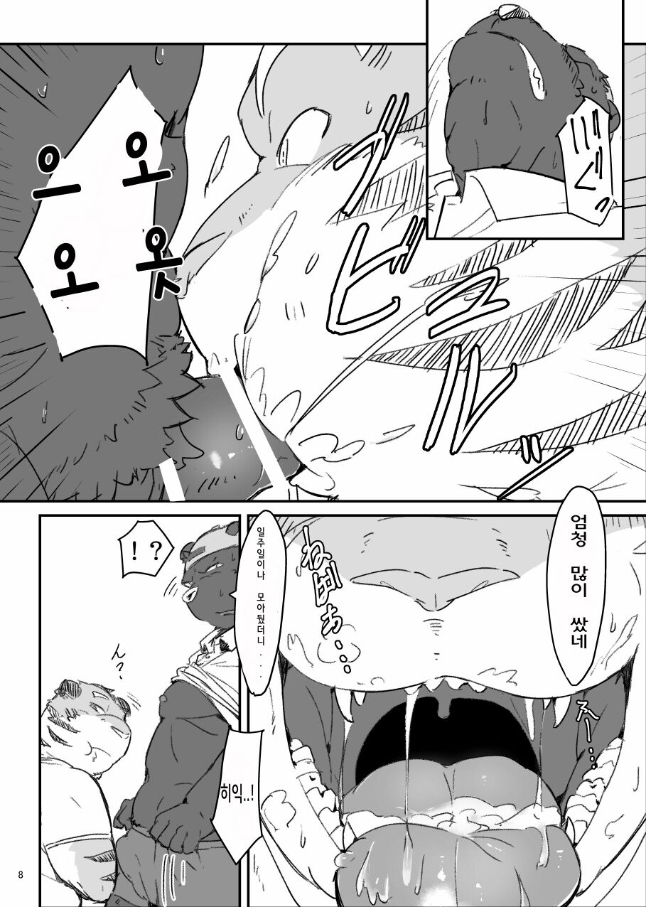 Kocchi Muite yo Torakado-kun | 여기 보세요 토라이로 군 page 8 full