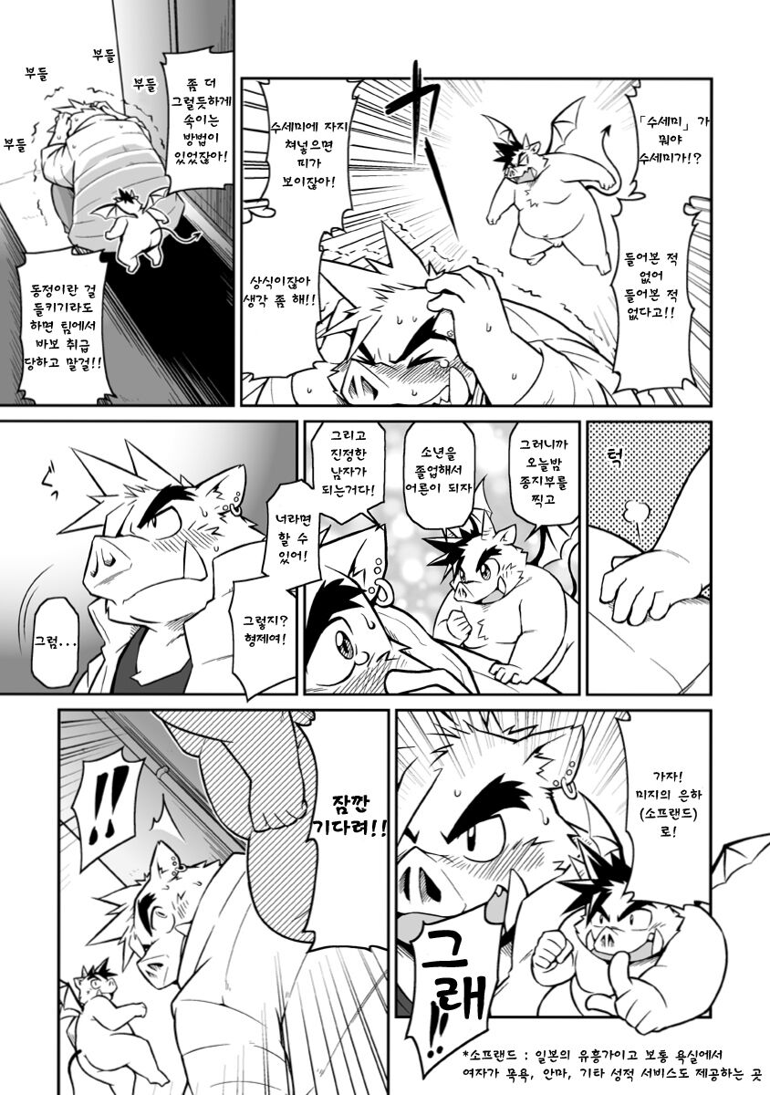 D page 6 full
