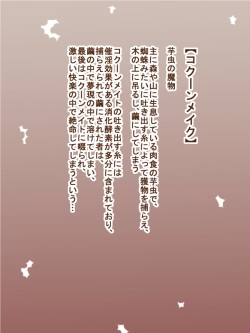 100 Yen Mamono Musume Series "Cocoon Make"