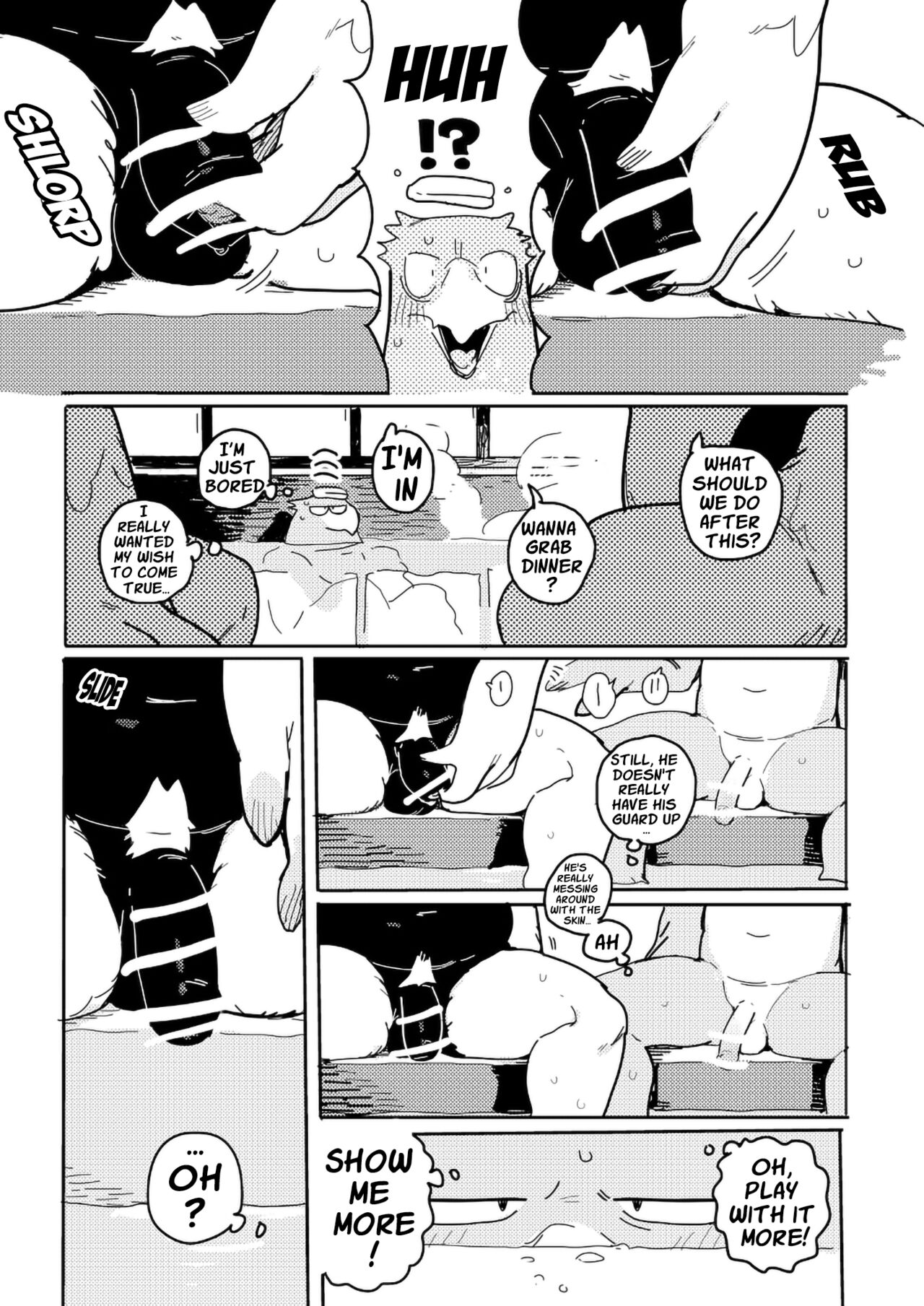 White-Tailed Eagle and Owls page 3 full