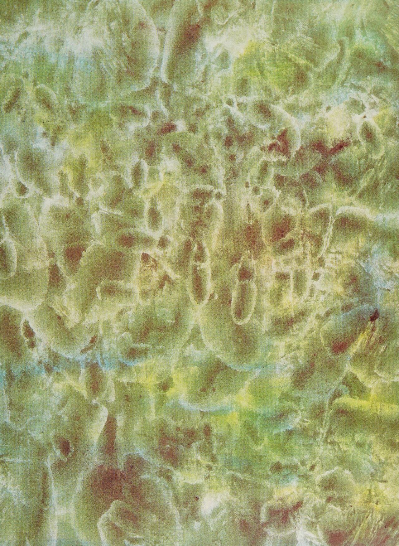 Fungus the bogeyman by Raymond Briggs page 5 full