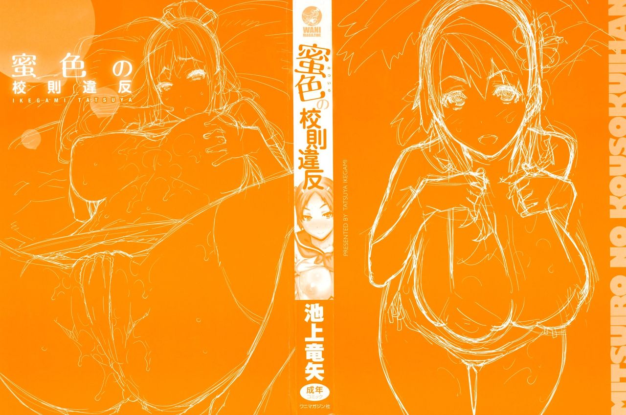 Mitsuiro no Kousokuihan   =EES= & =SDnF= page 3 full