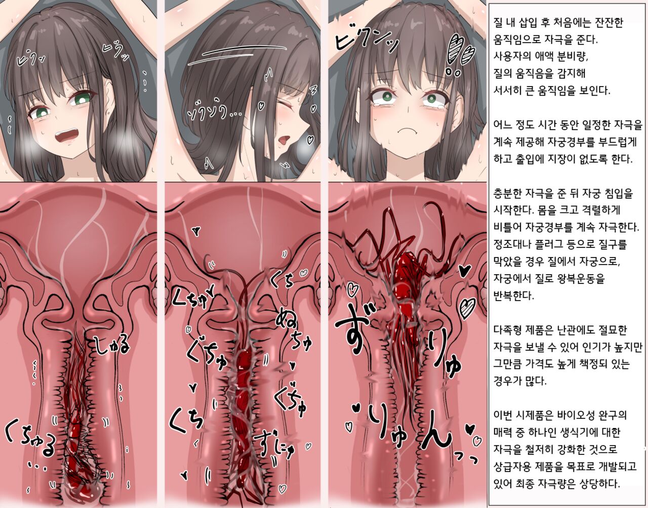 Mushi Research Report No.8 page 4 full