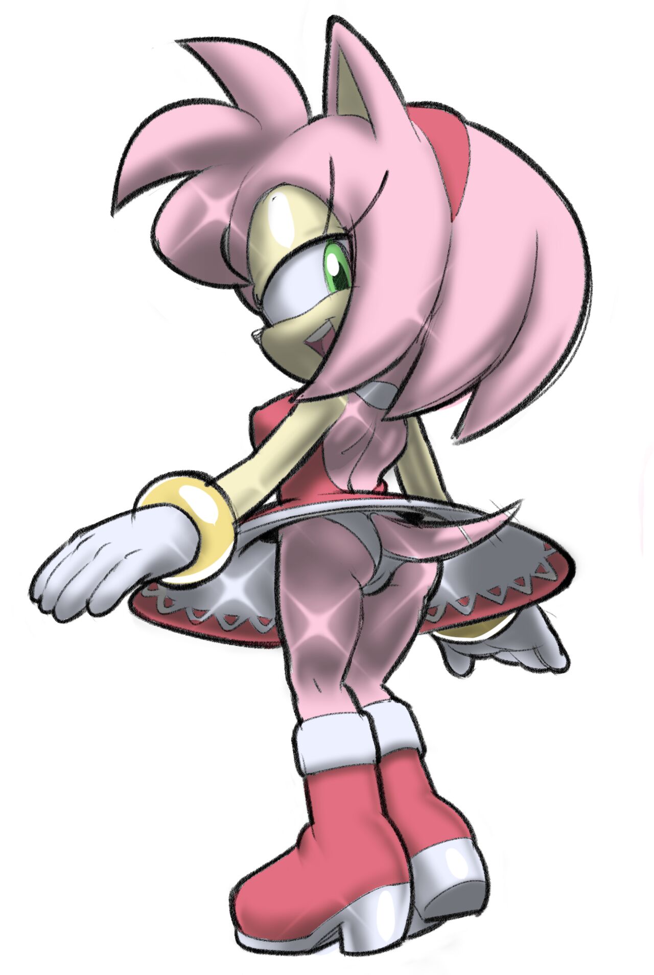 24 Hours of Amy Rose page 1 full