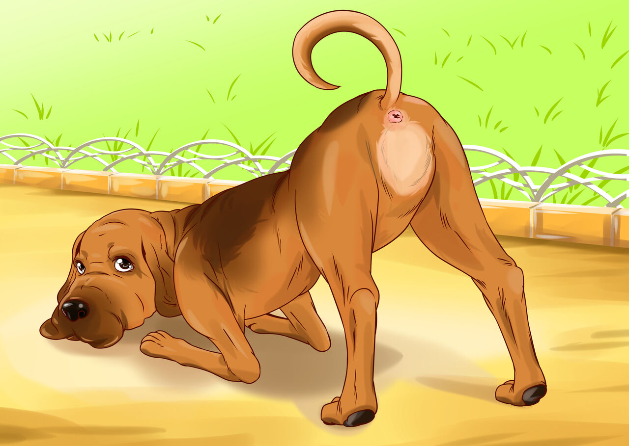 Bloodhound page 1 full